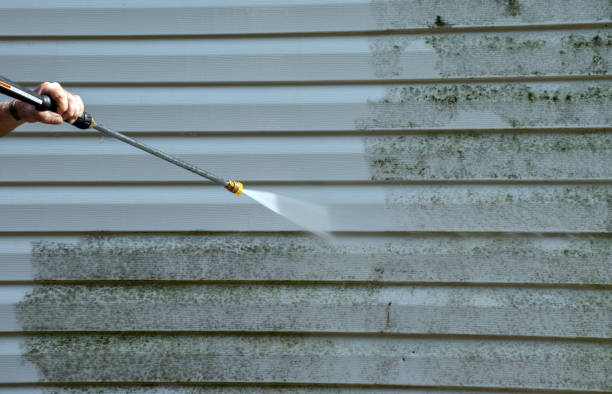 Best Mold Damage Repair  in South River, NM
