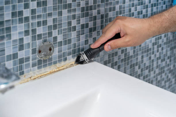 Best Attic Mold Removal  in South River, NM